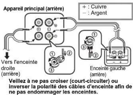 PANASONIC SCPMX94 - Raccorder les enceintes. - 1