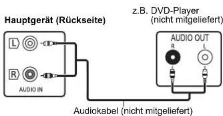PANASONIC SCPMX94 - Anschluss von anderen Geräten - 1