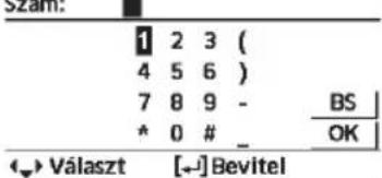 PANASONIC WHADC0309J3E5B - A felhasználónak - 41
