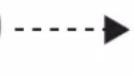PANASONIC SRDF181 - Press [Off] button - 2