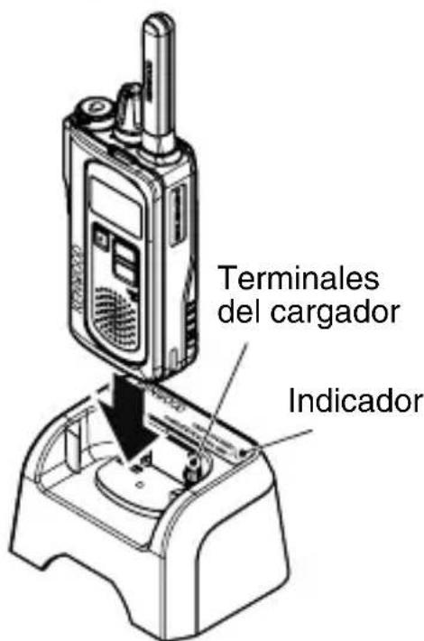 KENWOOD TK3601DE - Duración media de la batería: - 2