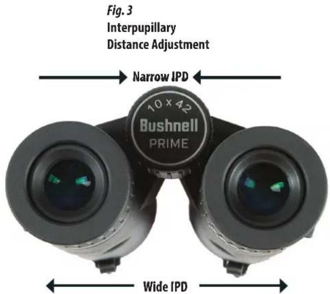 BUSHNELL Prime 12x50 - FOCUS AND DIOPTER ADJUSTMENT - 3