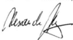 AEG WS 8115 S - SIMBOLI - 17