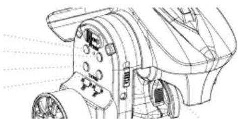 TAMIYA Ford Mustang Gt4 - C.TRIM - 1