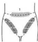 PANASONIC ERGY30 - Bikinivonalhoz - 1