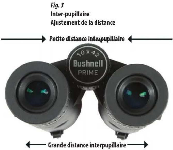 BUSHNELL Prime 10x28 - Ajustement de la distance interpupillaire - 1