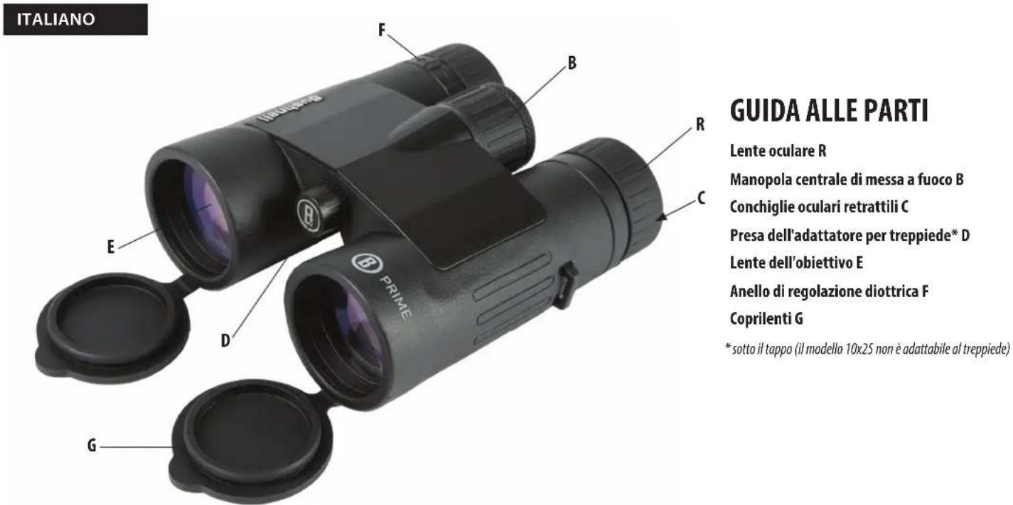 BUSHNELL Prime 10x28 - BAUTEILE - 1