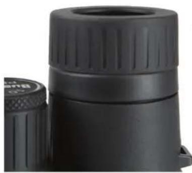 BUSHNELL Prime 8x32 - FOCUS AND DIOPTER ADJUSTMENT - 2