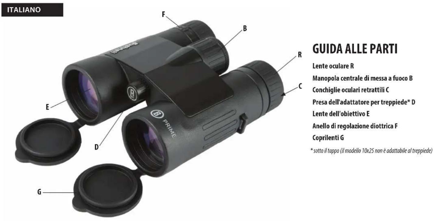 BUSHNELL Prime 8x32 - BAUTEILE - 1