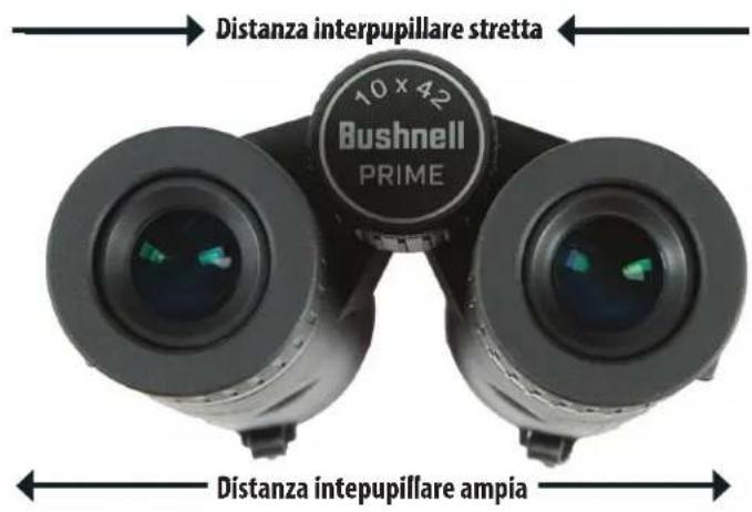 BUSHNELL Prime 8x32 - REGOLAZIONE DIOTTRICA E DELLA MESSA A FUOCO - 3