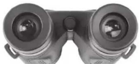 BUSHNELL Spectator Sport 8x32 - Regolazione IPD (Interpupillary Distance, distanza interpupillare) - 3