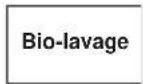 SIBIR WAV4000 - Lavage avec produit de lessive modulaire - 3