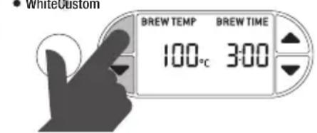 SAGE The Tea Maker BTM800 - ANTES DEL PRIMER USO - 2