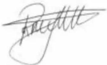 BESTRON AAC7000 - CE-CONFORMITEITSVERKLARING - 1