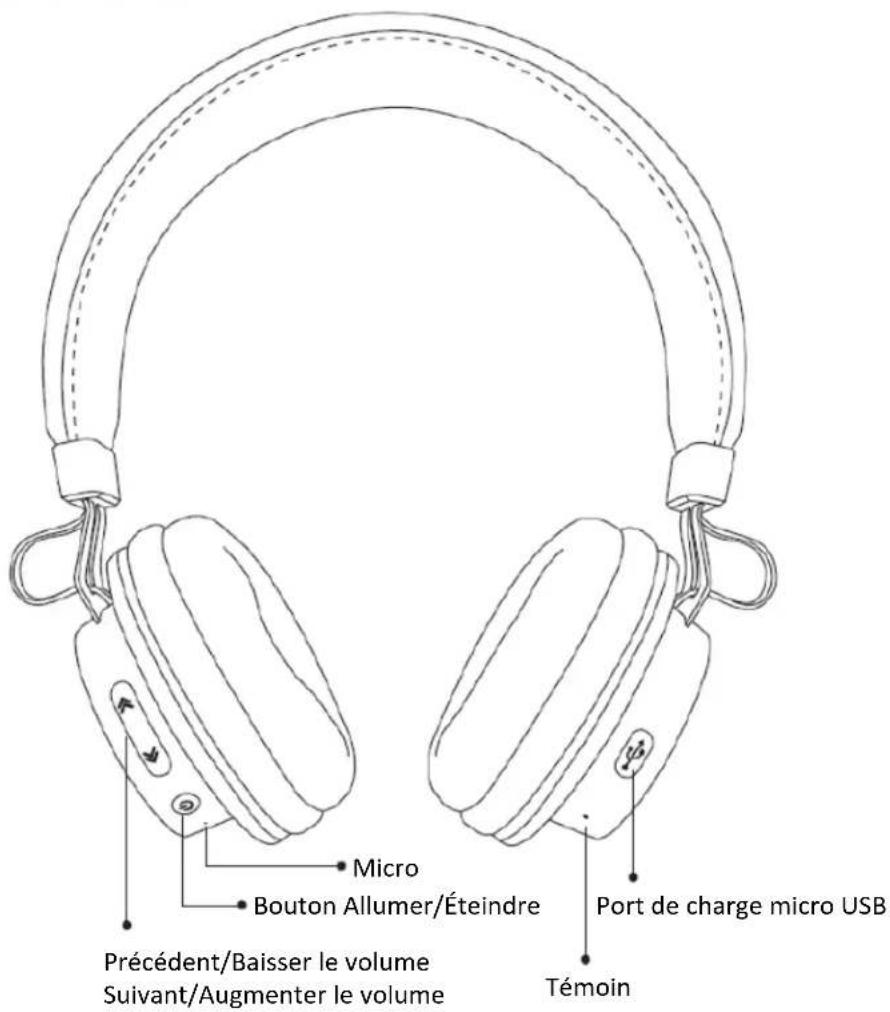 BLAUPUNKT BLP4100 - Spécifications : - 1