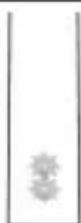 PHILIPS Sonicare Protectiveclean 4300 HX6802 - 3