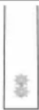 PHILIPS Sonicare Protectiveclean 4300 HX6802 - OU - 2