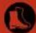 Pattfield PEEHS 5560 - Symbole - 6