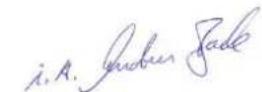 Pattfield PEAHS 18 Li Basic - 11.Declaratie de conformitate CE - 3