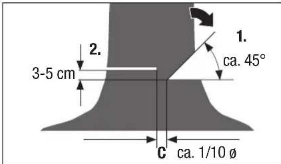 Pattfield PEAKS 18 Li Basic - Taglio di un albero - 3