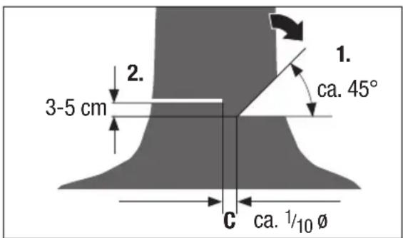 Pattfield PEAKS 18 Li Basic - Fallen eines Baumes - 3
