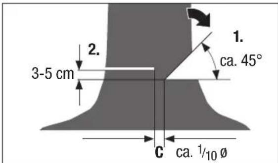 Pattfield PEAKS 18 Li Basic - Vellen van een boom - 3