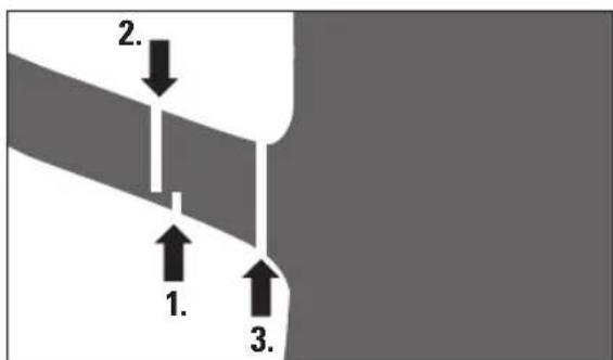 Pattfield PEAKS 18 Li Basic - Removing branches - 1