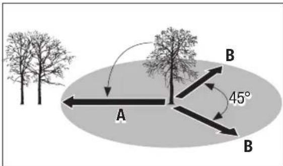Pattfield PEAKS 18 Li Basic - Porážanie stromu - 2