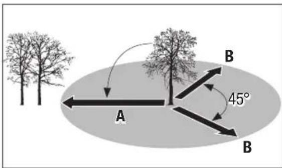 Pattfield PEAKS 18 Li Basic - Felling a tree - 2