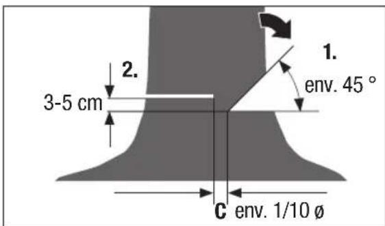 Pattfield PEAKS 18 Li Basic - Abattage d'un arbre - 3