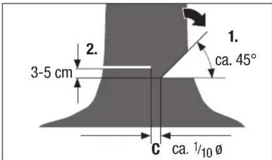 Pattfield PEAKS 18 Li Basic - Felling a tree - 3