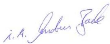 Pattfield PE300K - Pattfield - 1