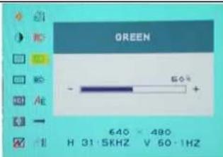 DGM L2442WD - Green: - 1