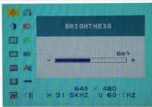 DGM L2442WD - Brightness: - 1