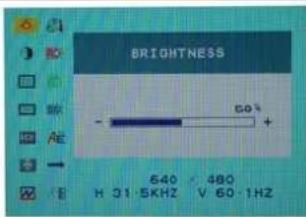 DGM L2442WD - Brightness: - 1