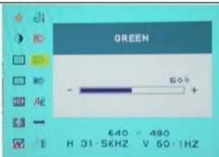 DGM L2442WD - Green: - 1