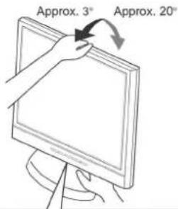 DGM L1933 - Adjusting the Angle of Your Monitor - 1