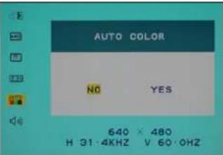 DGM L1731 - Auto color: - 1
