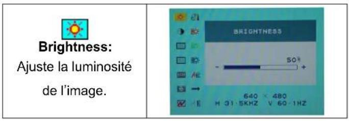 DGM L1731 - Mode de menu OSD (On-Screen Display) - 1