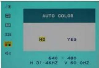 DGM L1731 - Auto color: - 1