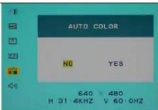 DGM L1731 - Auto color: - 1
