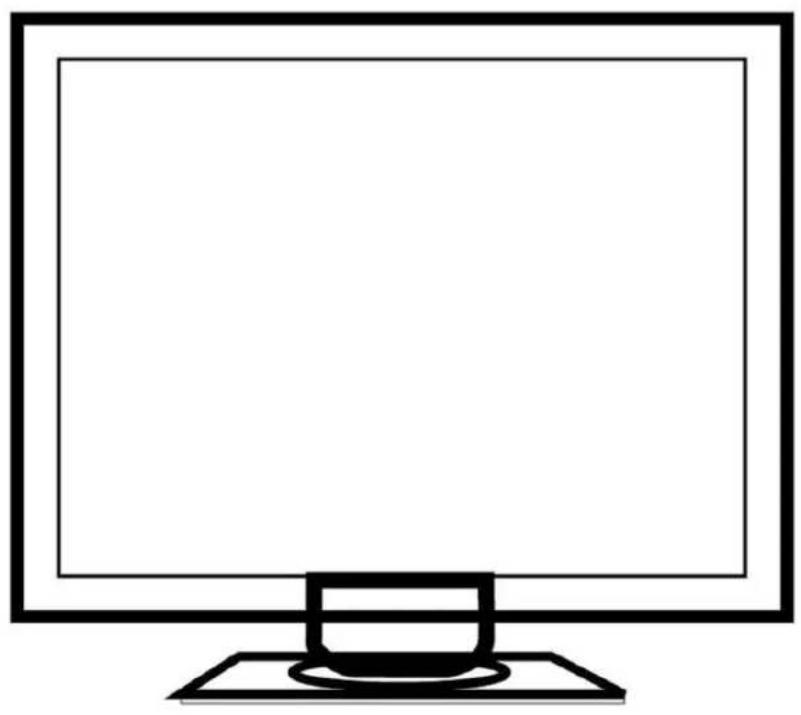 DGM L1721 - II Monitor - 1