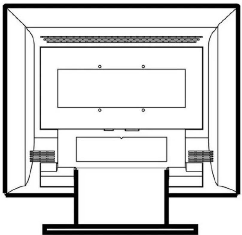 DGM L1721 - View of Monitor - 2