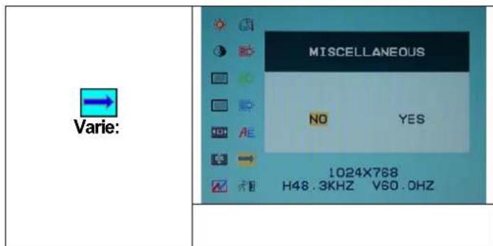 DGM L1715 - Selezione Opzioni - 10