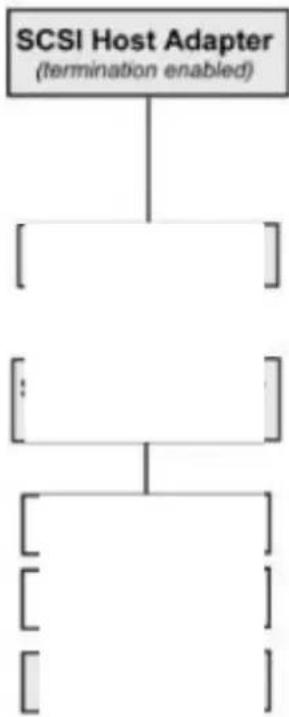 Tandberg Data SLR75 - Tandberg SLR2 ^® SLR5 - 1