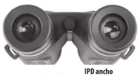 BUSHNELL Spectator Sport 10x40 - Ajuste IPD (Distancia Interpupilar - 3