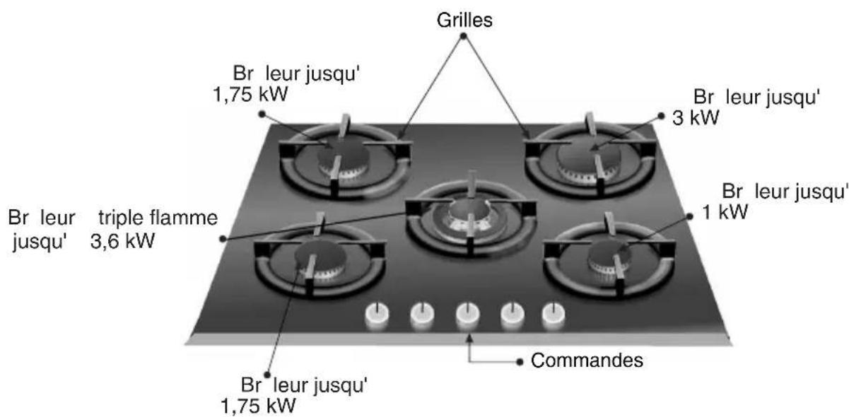 BOSCH PPC626B20E - Ainsi se présente votre table de cuisson : - 3