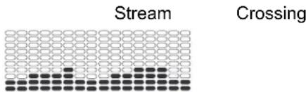 Nautilus U626 - Programmes Profil - 4