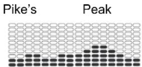 Nautilus U626 - Programmes Profil - 5