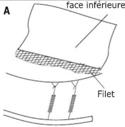 EXIT Supreme Gound Level 366cm - Étape 9 - 2